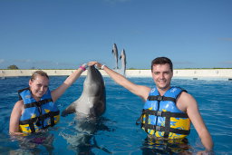 Experiencia con Delfines (nado e interaccion)