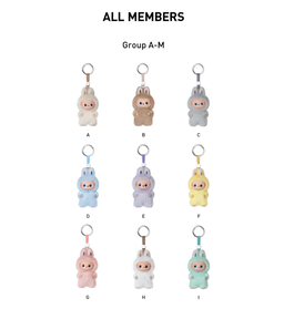 Labubu Pin for Love Series Plush Pendant Blind Box (A-M)