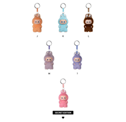Labubu Pin for Love Series Plush Pendant Blind Box (A-M)