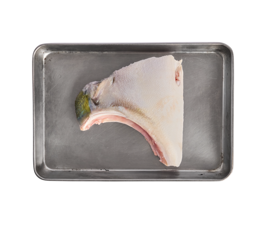 Buri Collar 