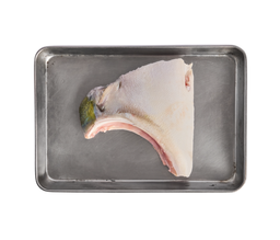 Buri Collar 