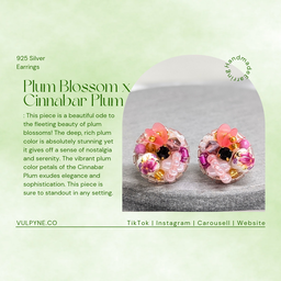 Plum Blossom x Cinnabar Plum (Classic)