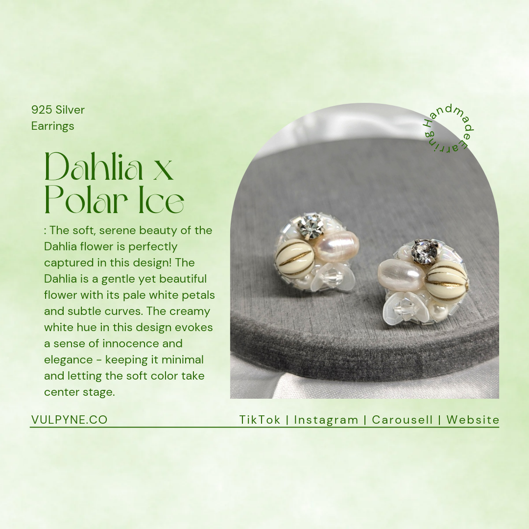 Dahlia x Polar Ice (Classic)_1