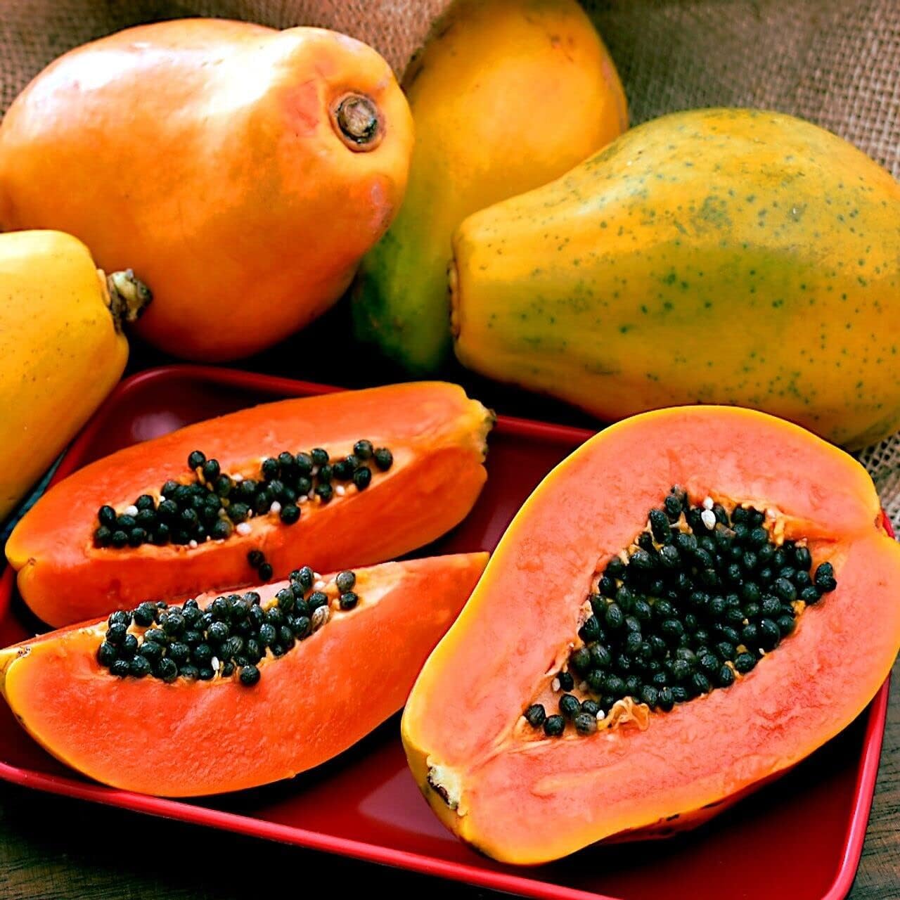 Papaya_0