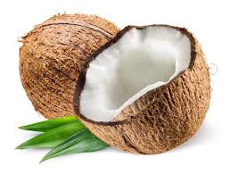 Coconut_0
