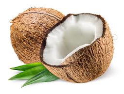 Coconut