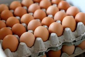 Broiler Eggs Trey_0
