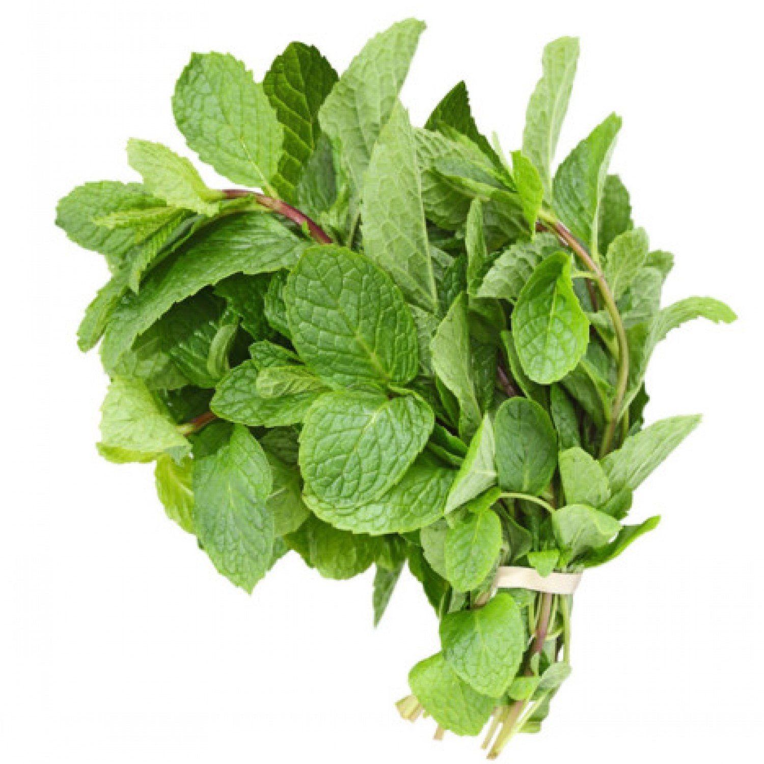 Mint_0
