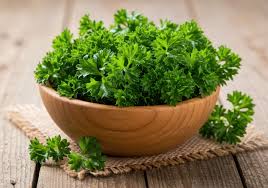 Parsley_0