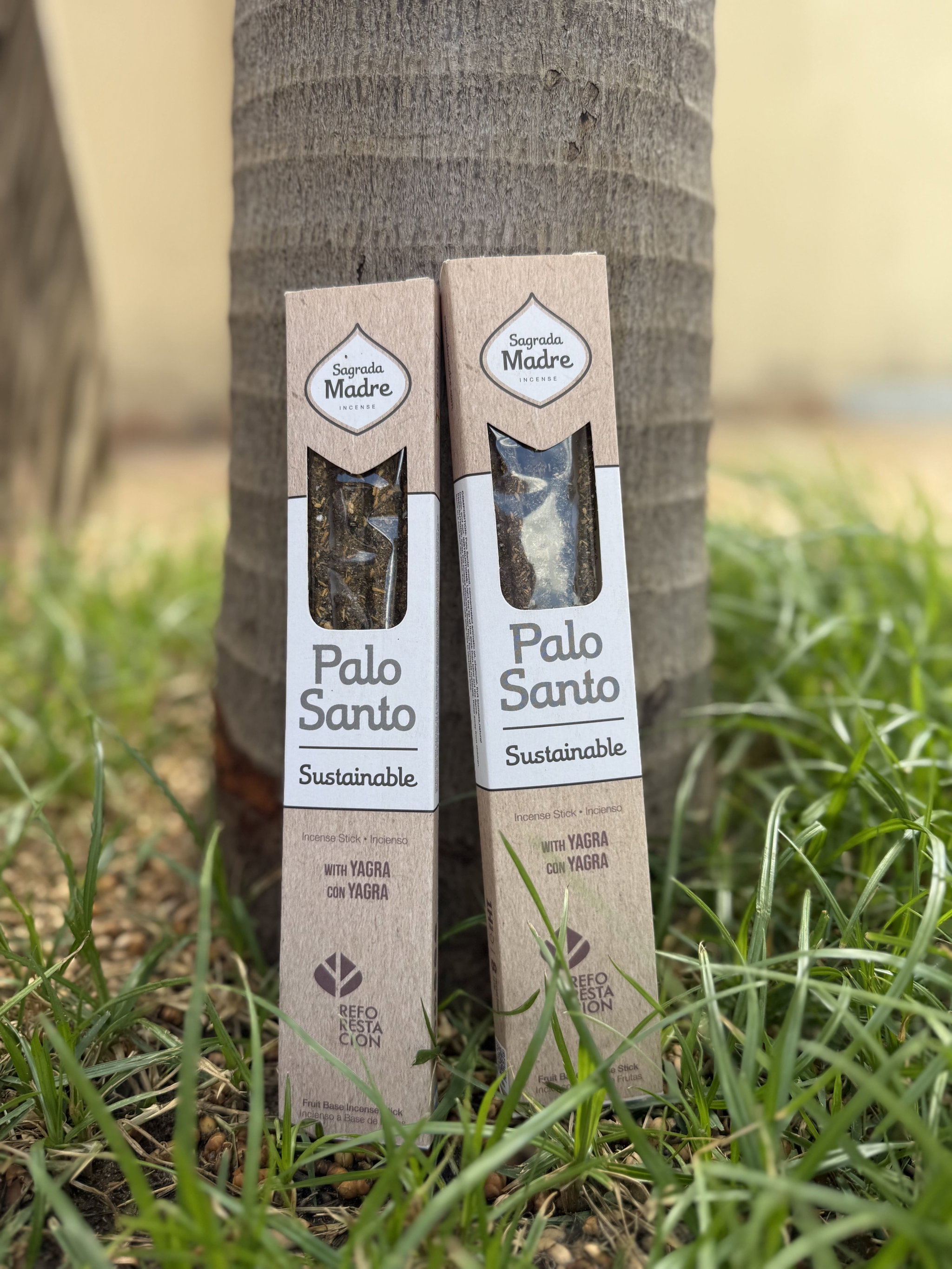 LINEA PALO SANTO - YAGRA_0