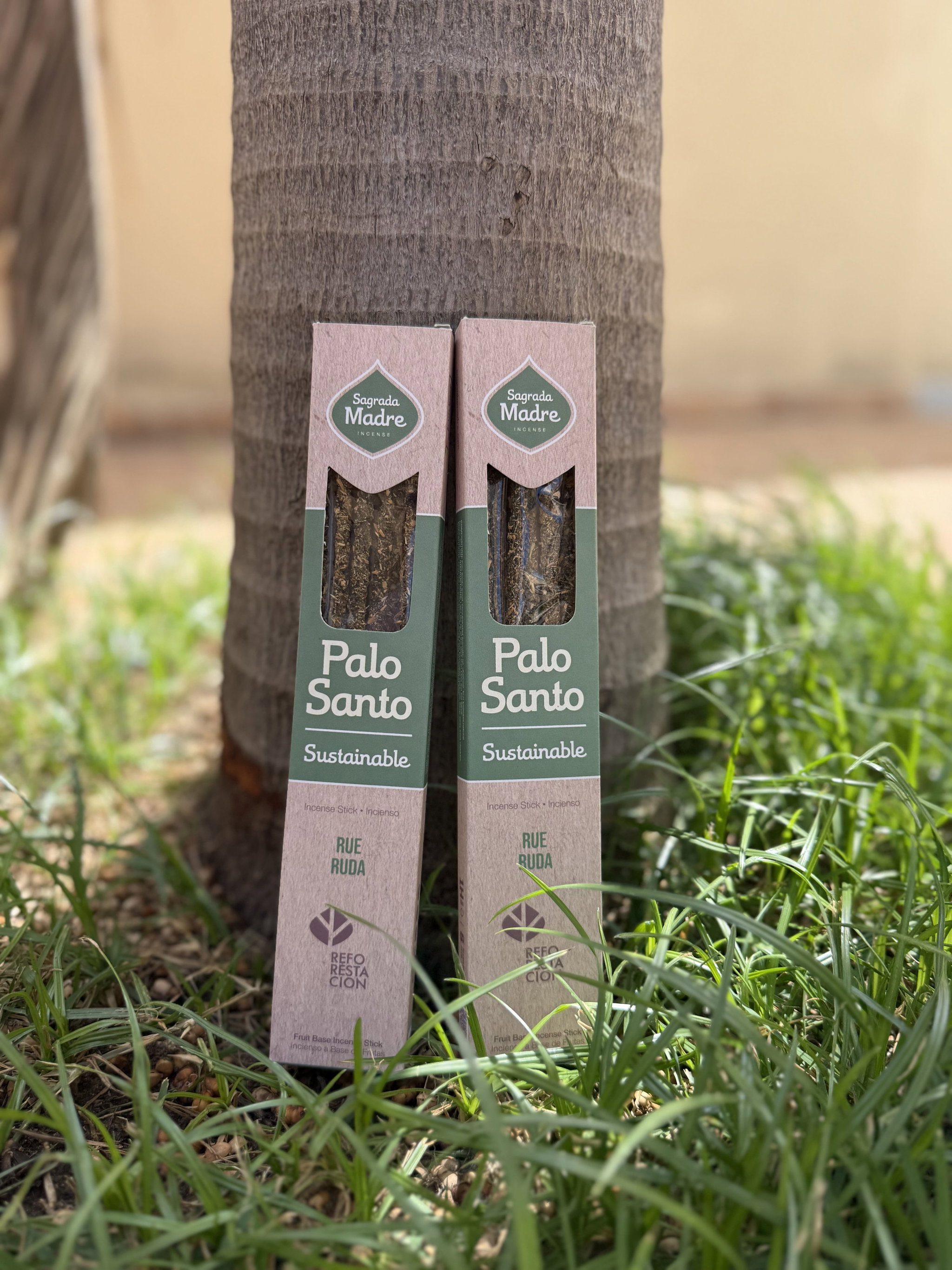 LINEA PALO SANTO - RUDA_0