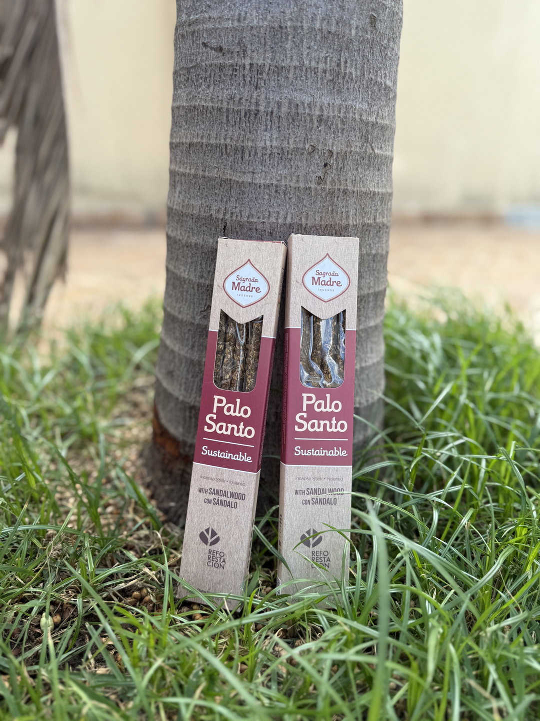 LINEA PALO SANTO - SANDALO