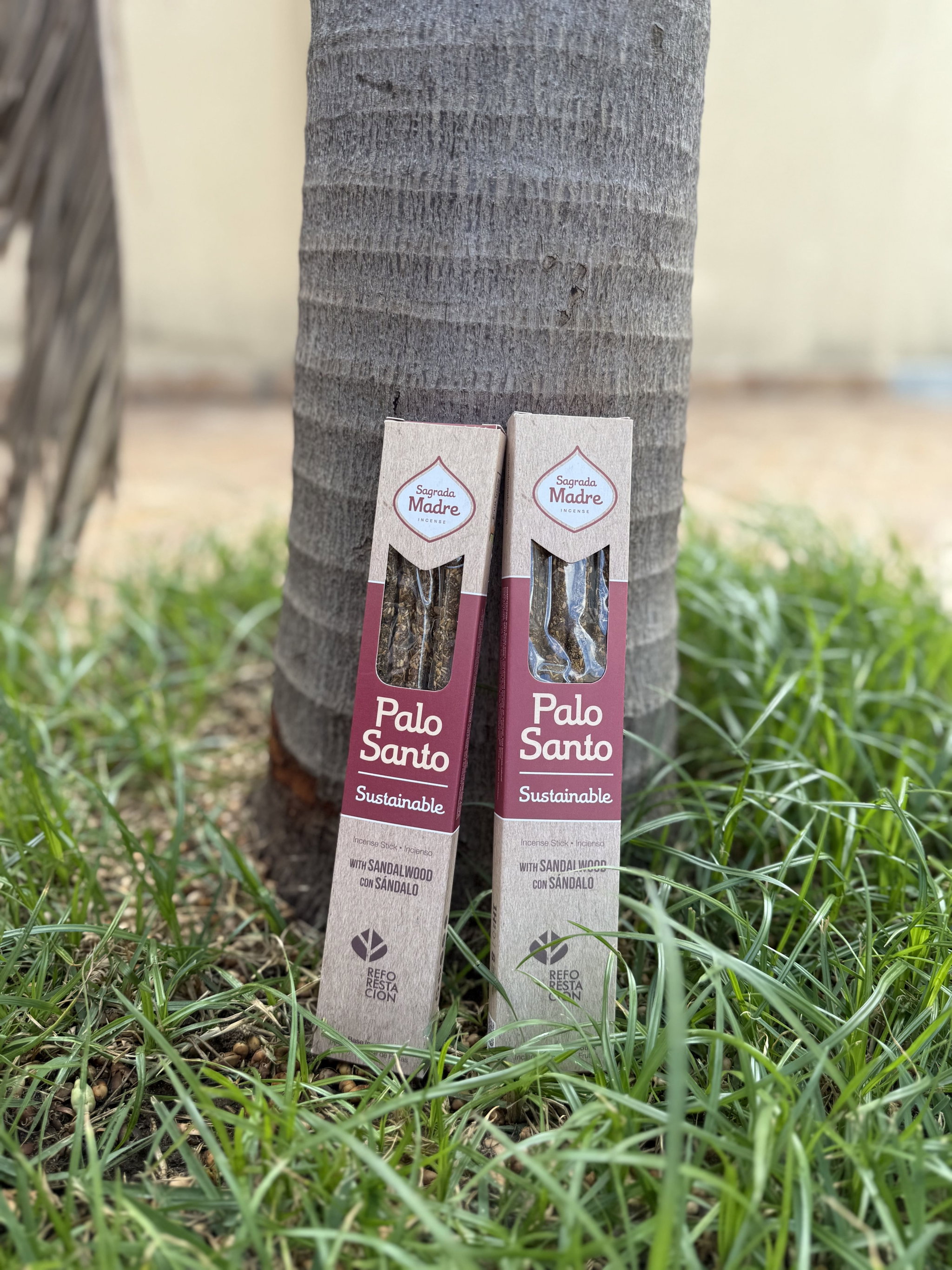 LINEA PALO SANTO - SANDALO_0