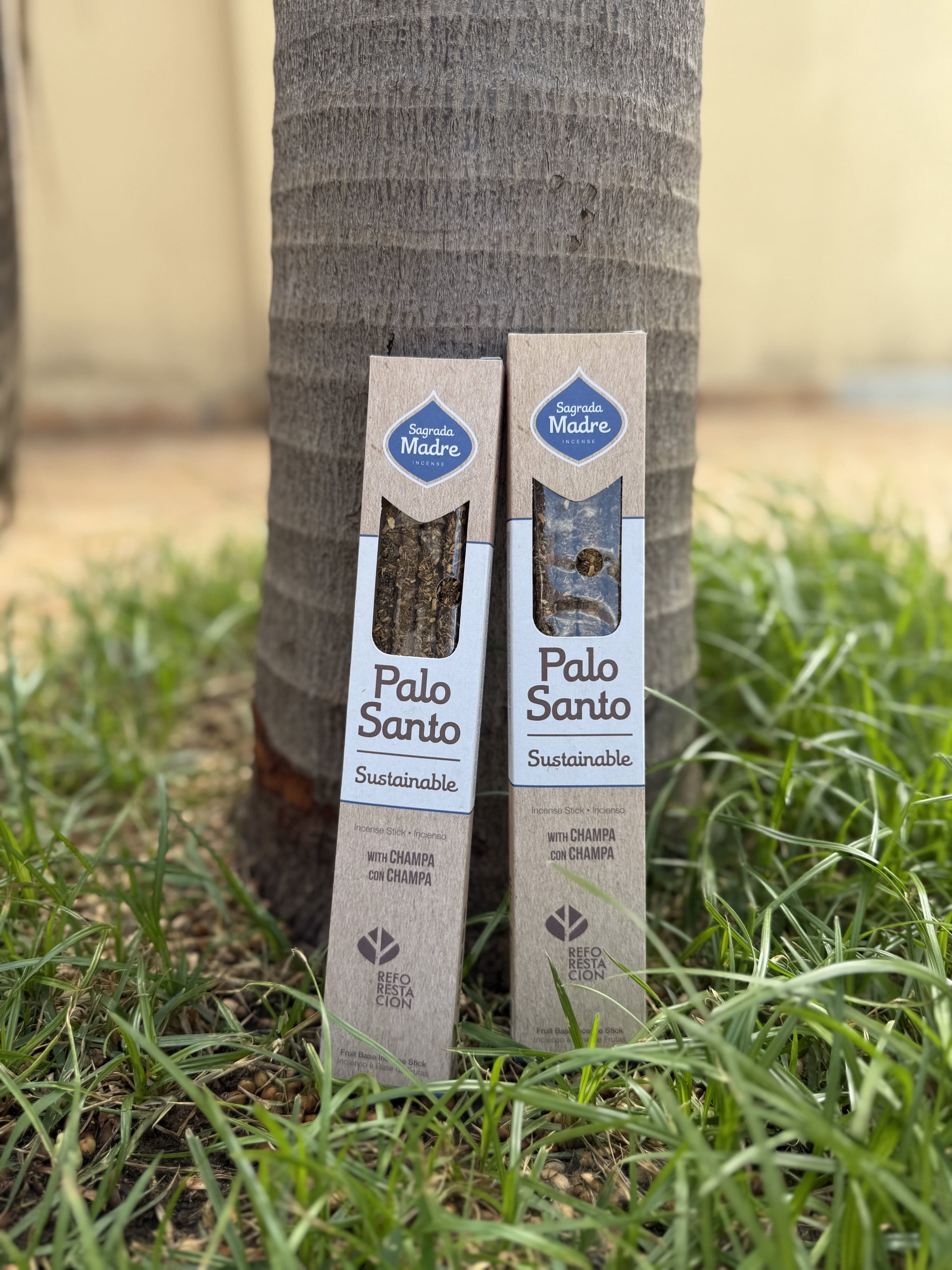 LINEA PALO SANTO - CHAMPA _0