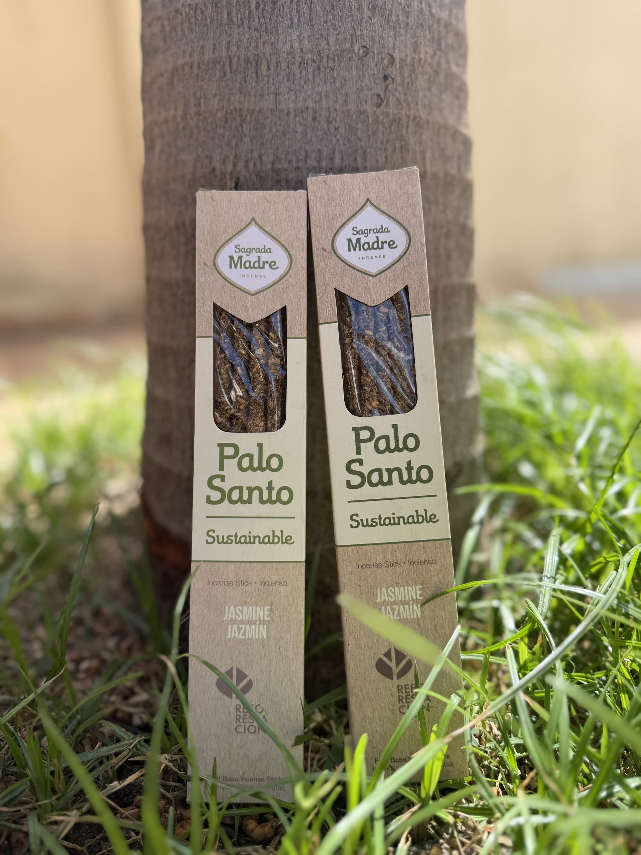 LINEA PALO SANTO- JAZMIN_0