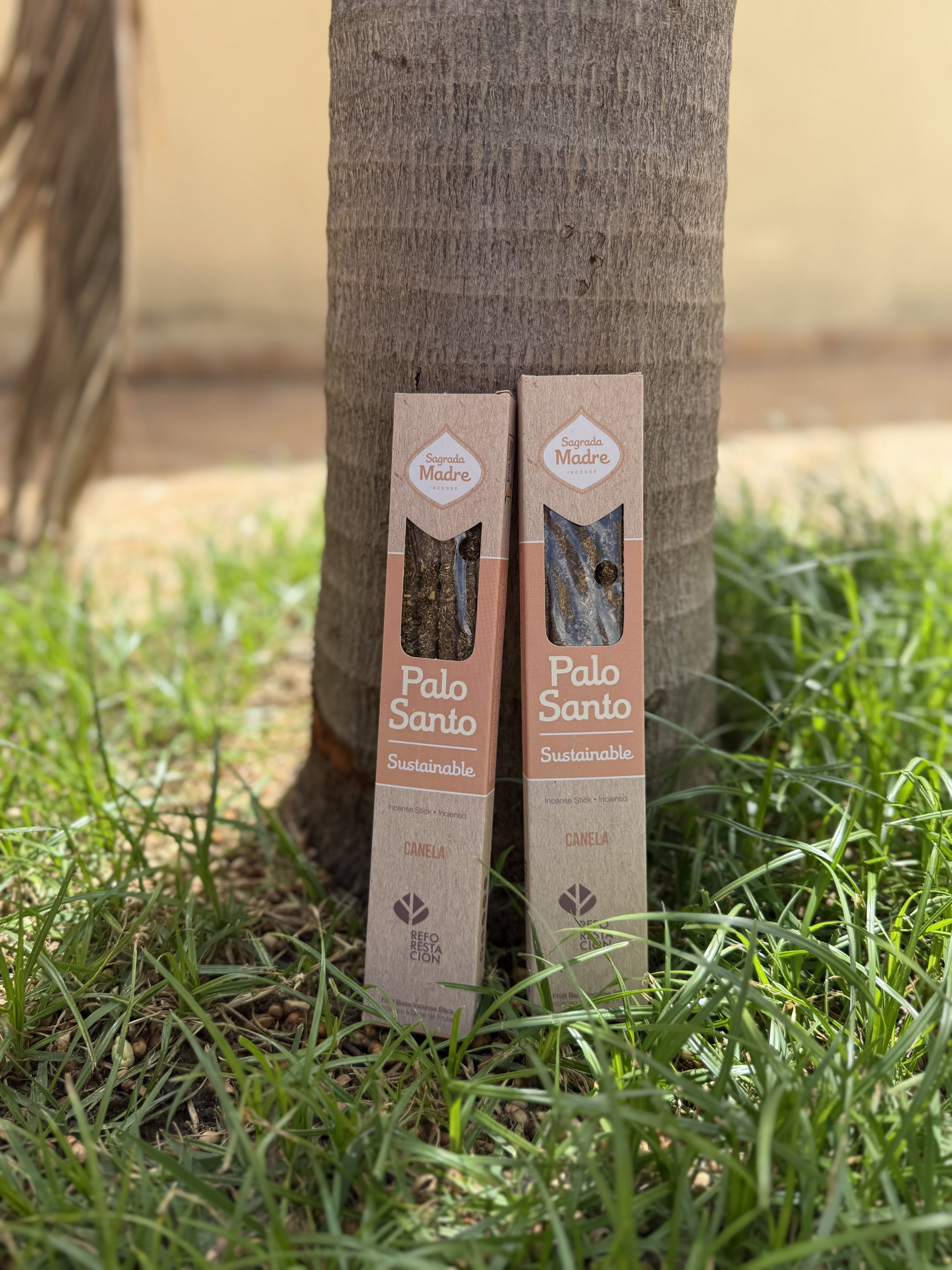 LINEA PALO SANTO - CANELA_0