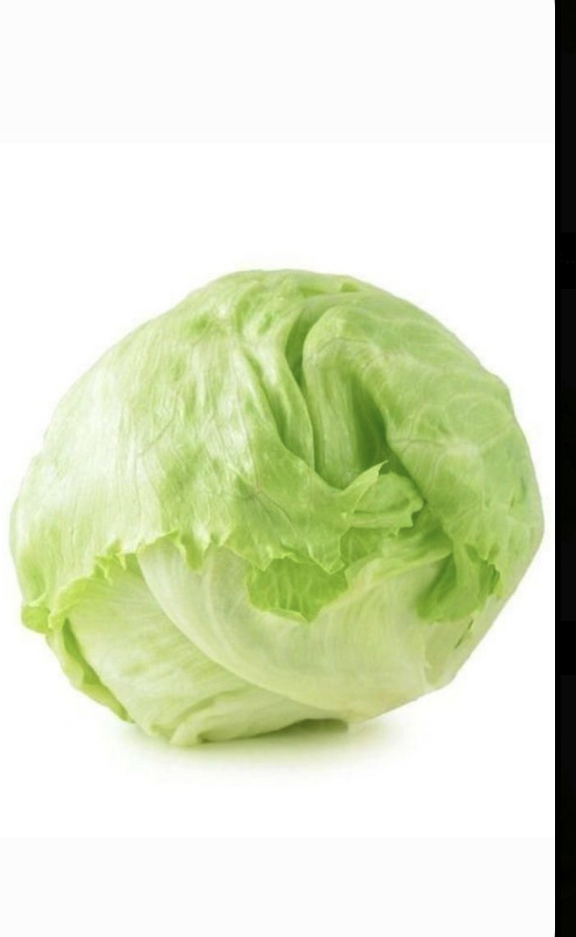 Lechuga Iceberg_0