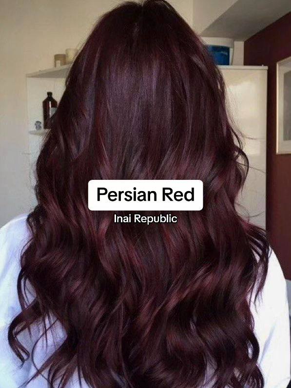 Inai Republic Henna Hair Colour _5