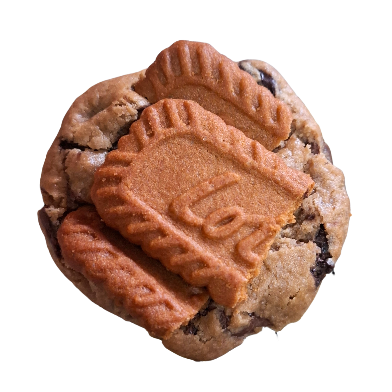 Boonano Lotus Biscoff_0
