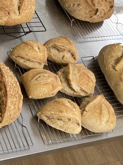 Sourdough Rustic Rolls לחמניות מחמצת כפריות
