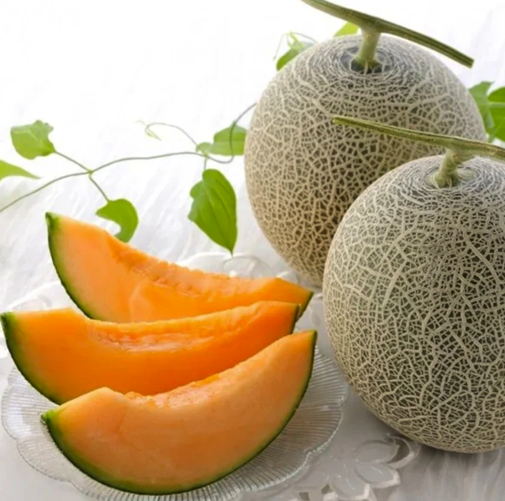 Japanese Raiden (雷電) Melon | Hokakido_1