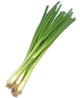 Cebollina