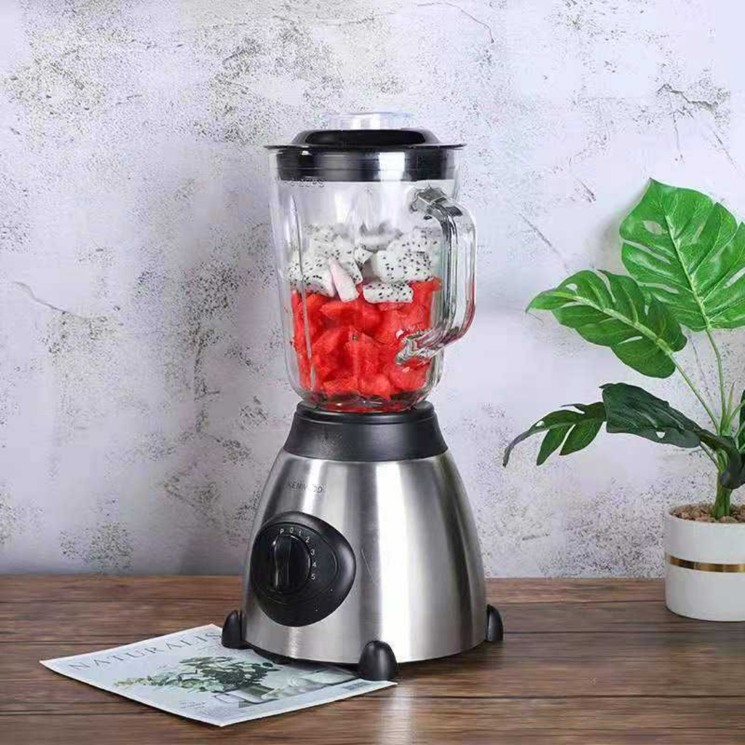 STAINLESS STEEL BLENDER SC66_3
