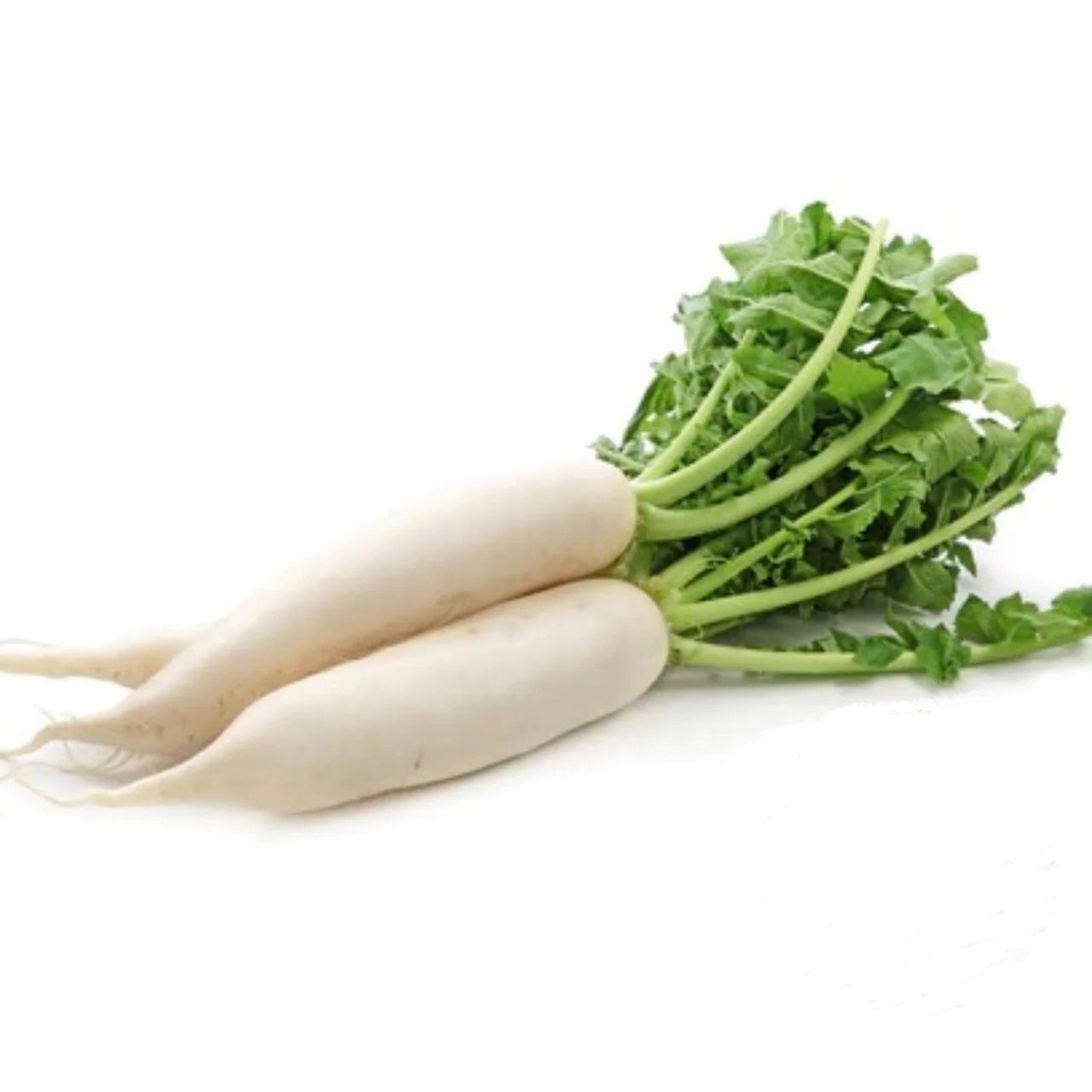Organic White Radish (Daikon) 500g_0
