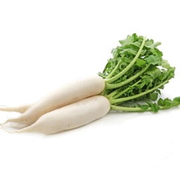 Organic White Radish (Daikon) 500g