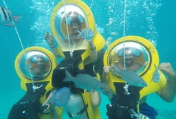 Scuba doo