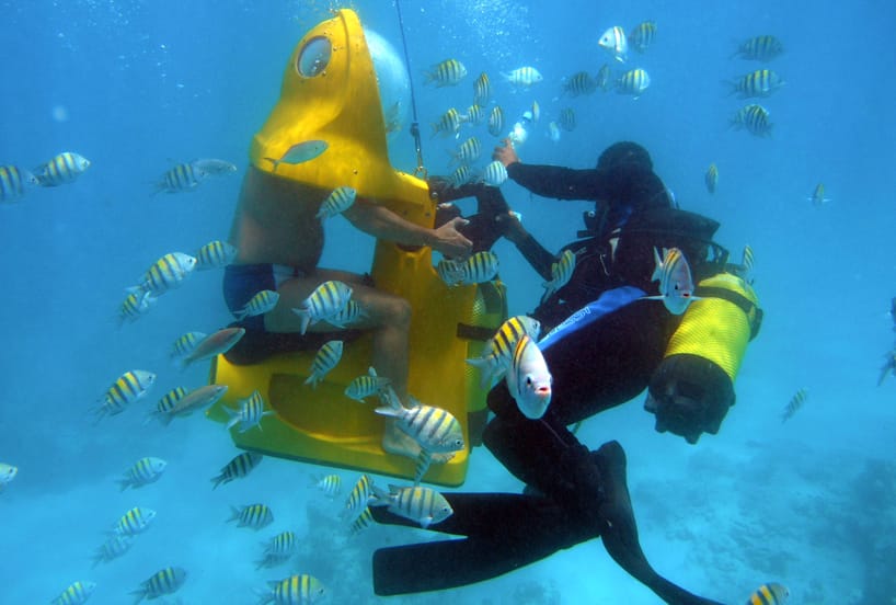 Scuba doo_1