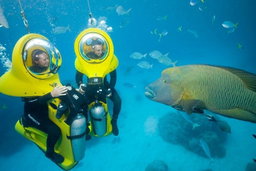 Scuba doo