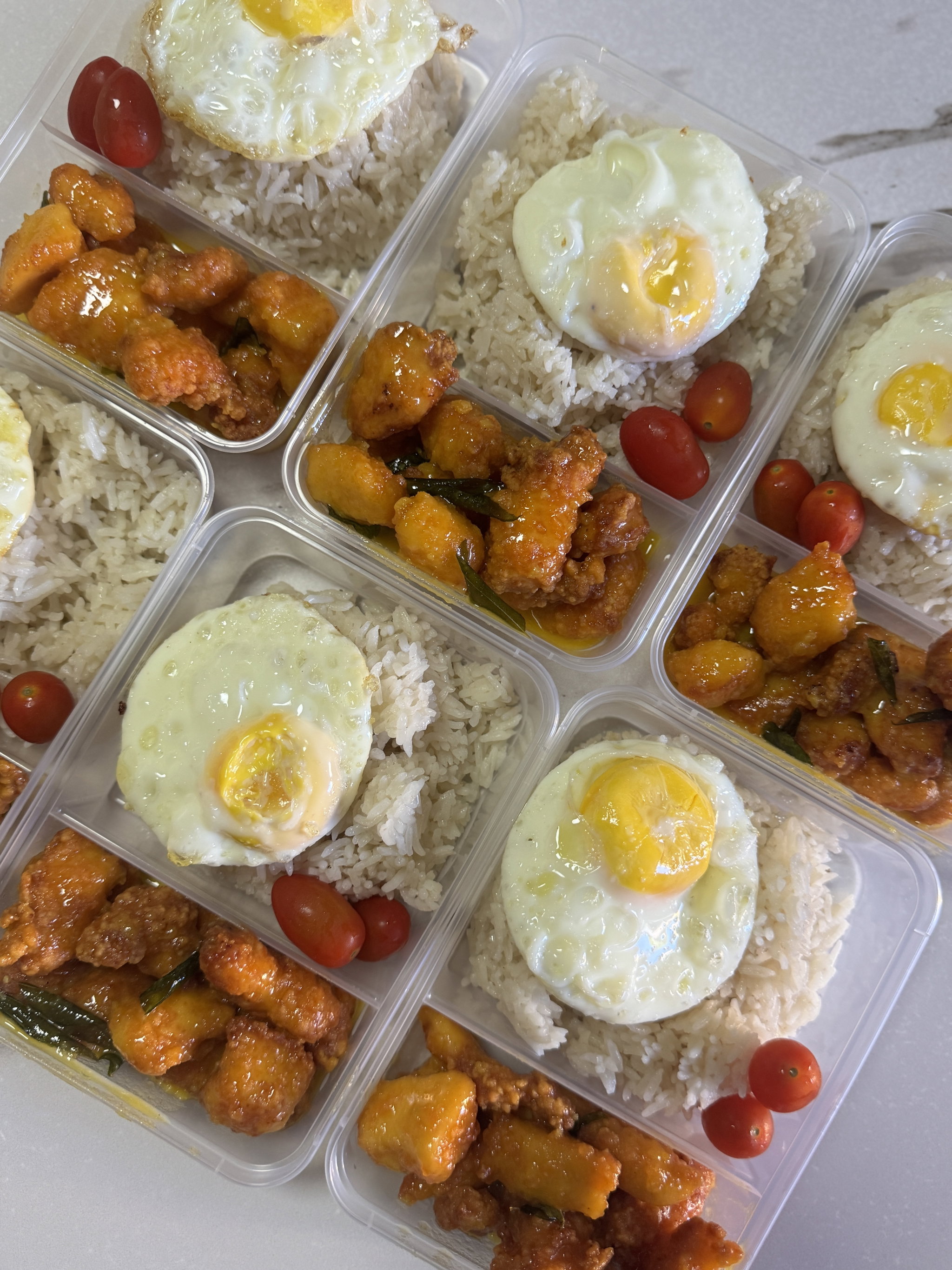 Kiddy SECs Rice Bento_0