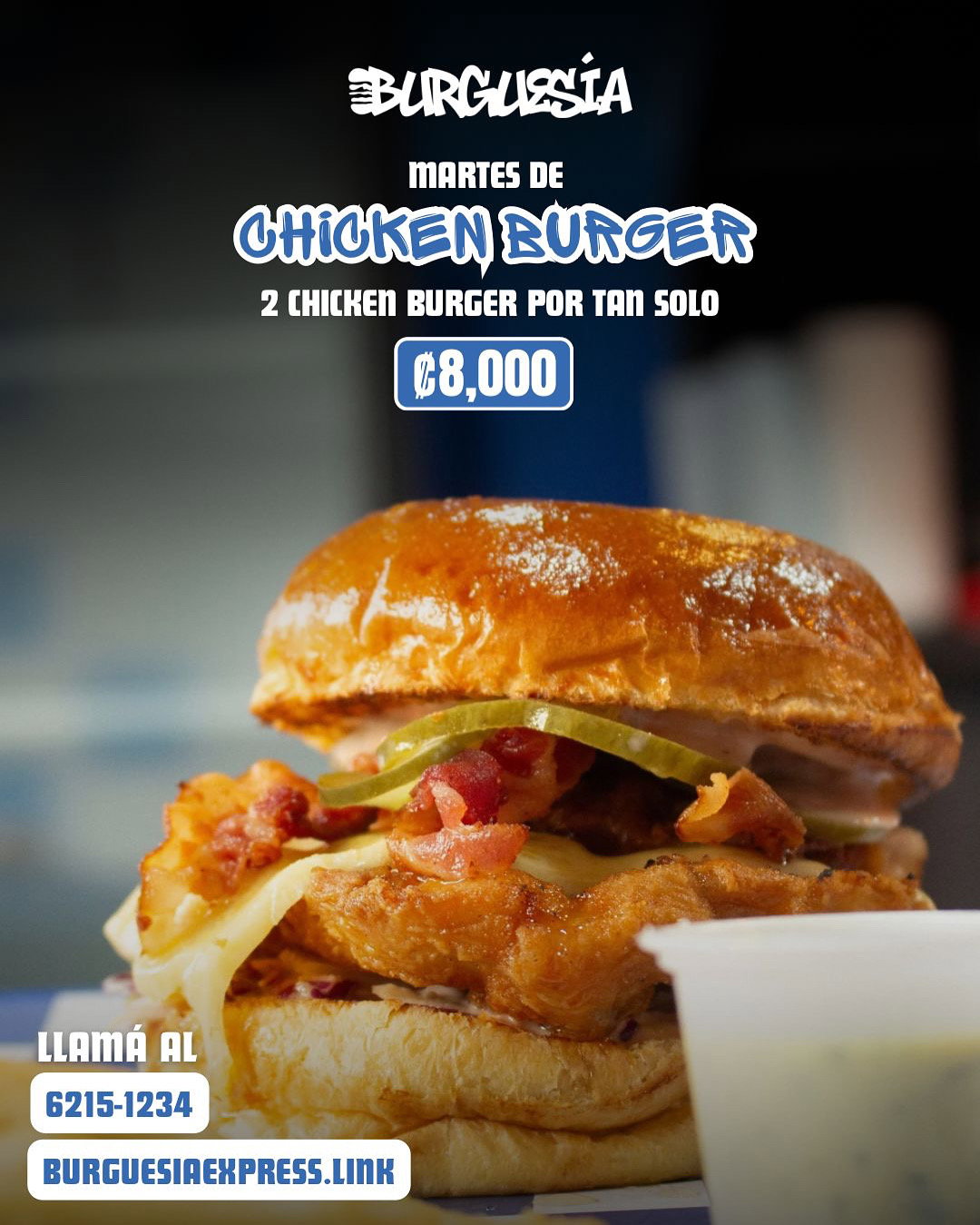 Chicken Burgers promo