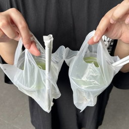 BUNDLE: 2 Iced Matcha Lattes for $8