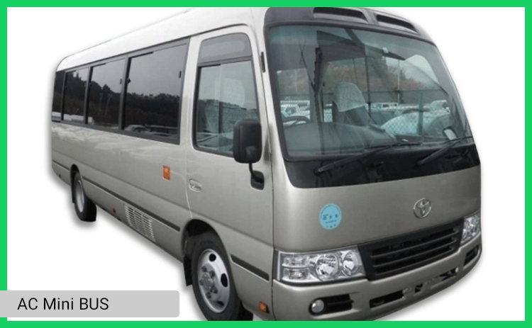 Ac Mini Bus