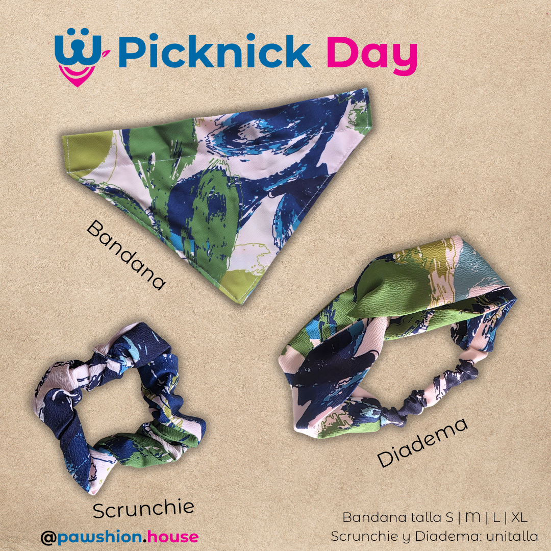 Picknick Day - Full set