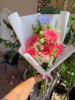 Ramo 5 gerberas