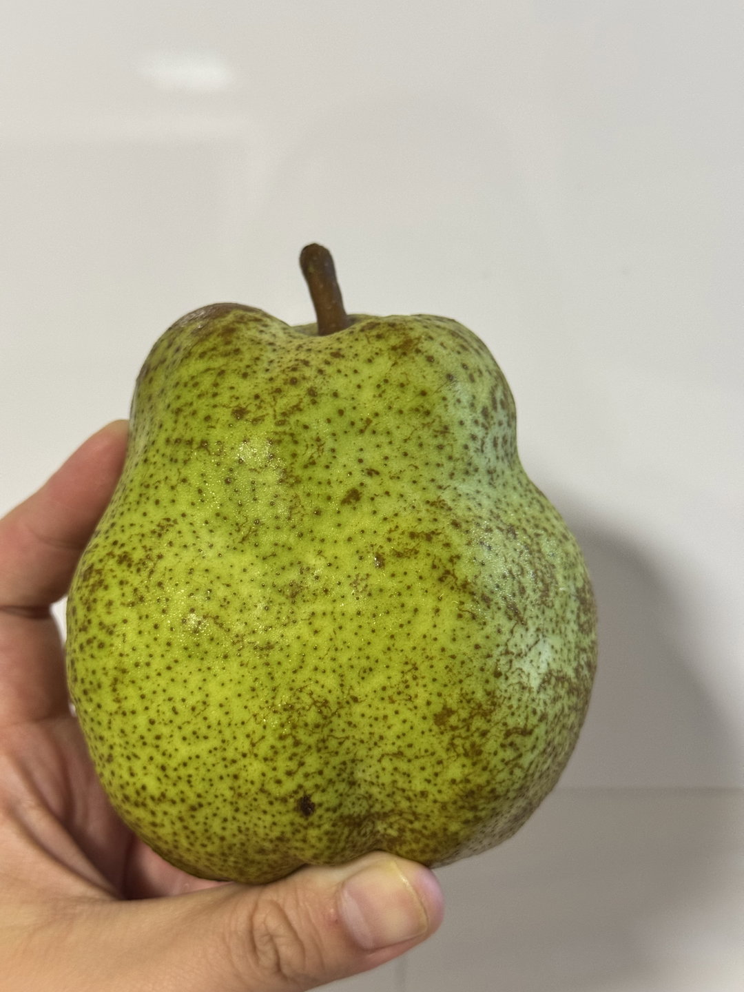 Japan La France Pear 