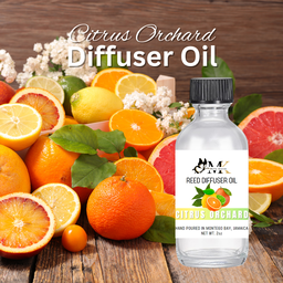 Citrus Orchard Reed Diffuser Oil
