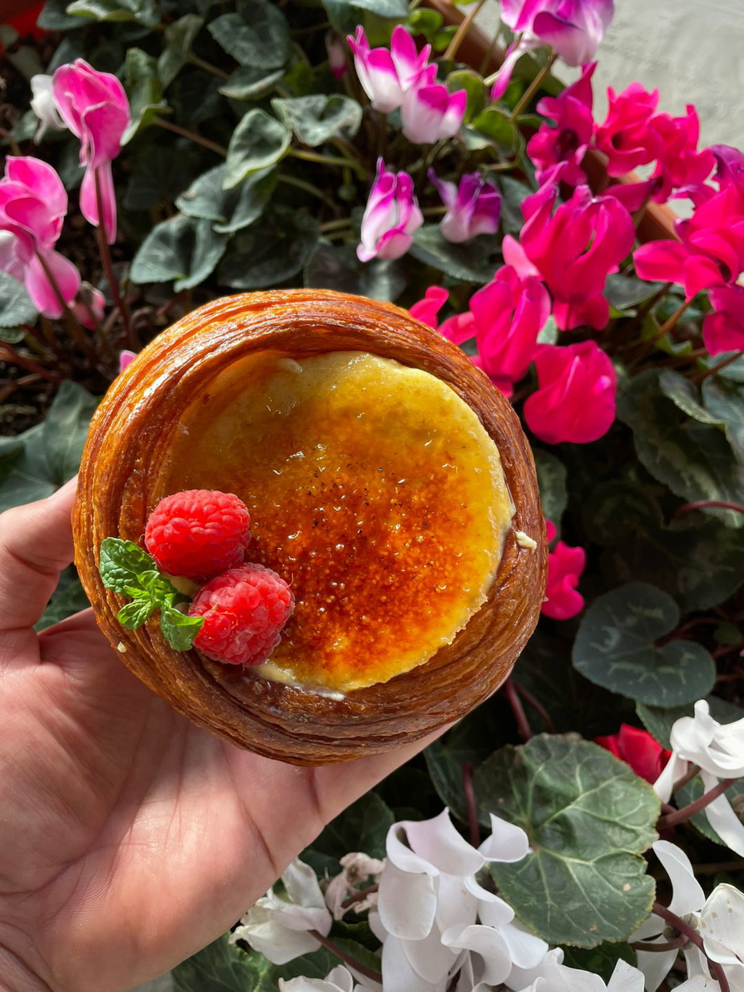 Danessa de Crème Brûlée