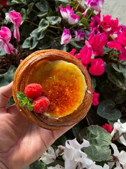 Danessa de Crème Brûlée