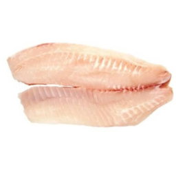 TROUT