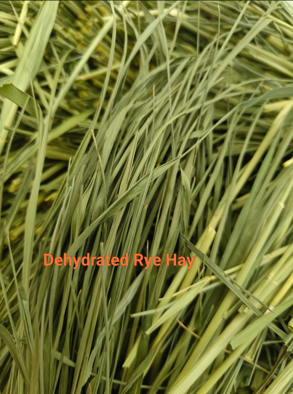 Dehydrated Rye Hay (250g)