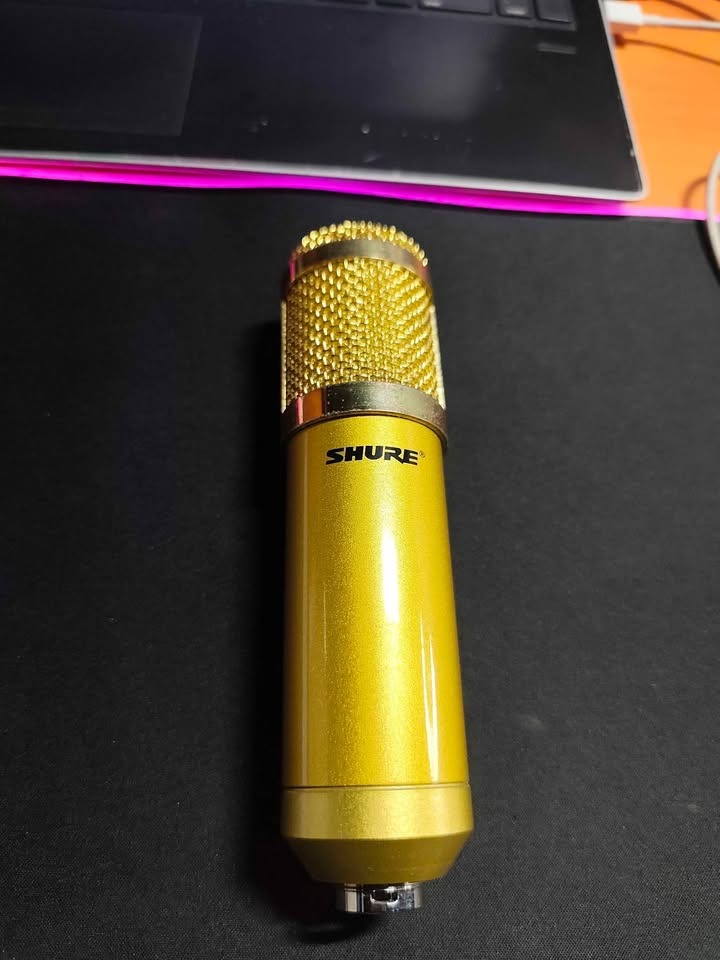 Micro studio d'enregistrement de marque SHURE_3
