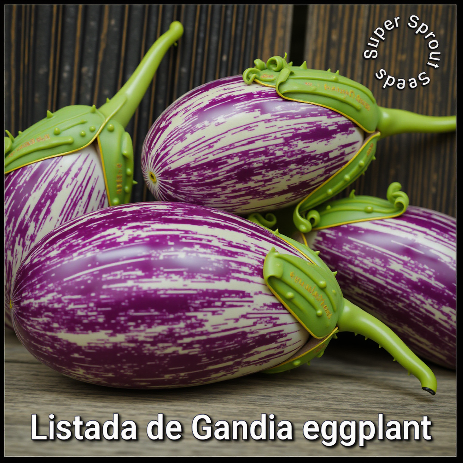 Listada de Gandia eggplant x 10 seeds_1