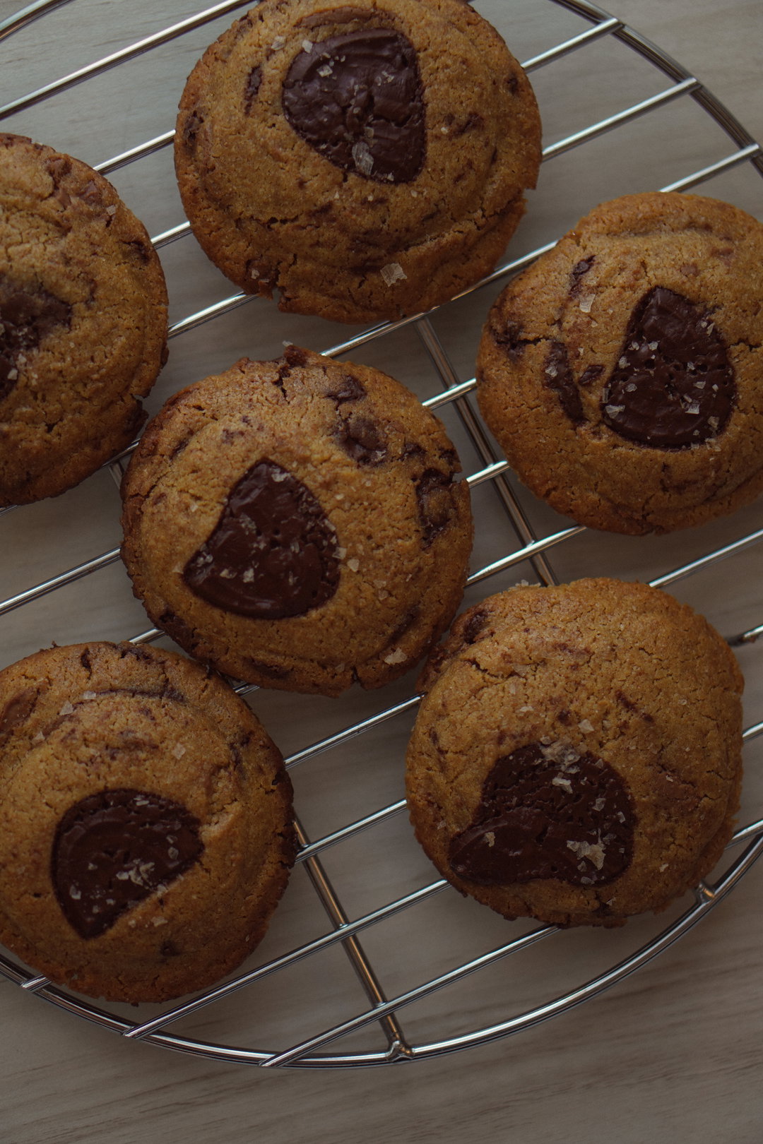 dark choc + spelt