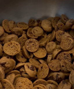 XS Chocolate Chip Cookies