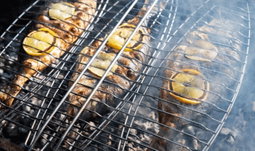 Fish Grill