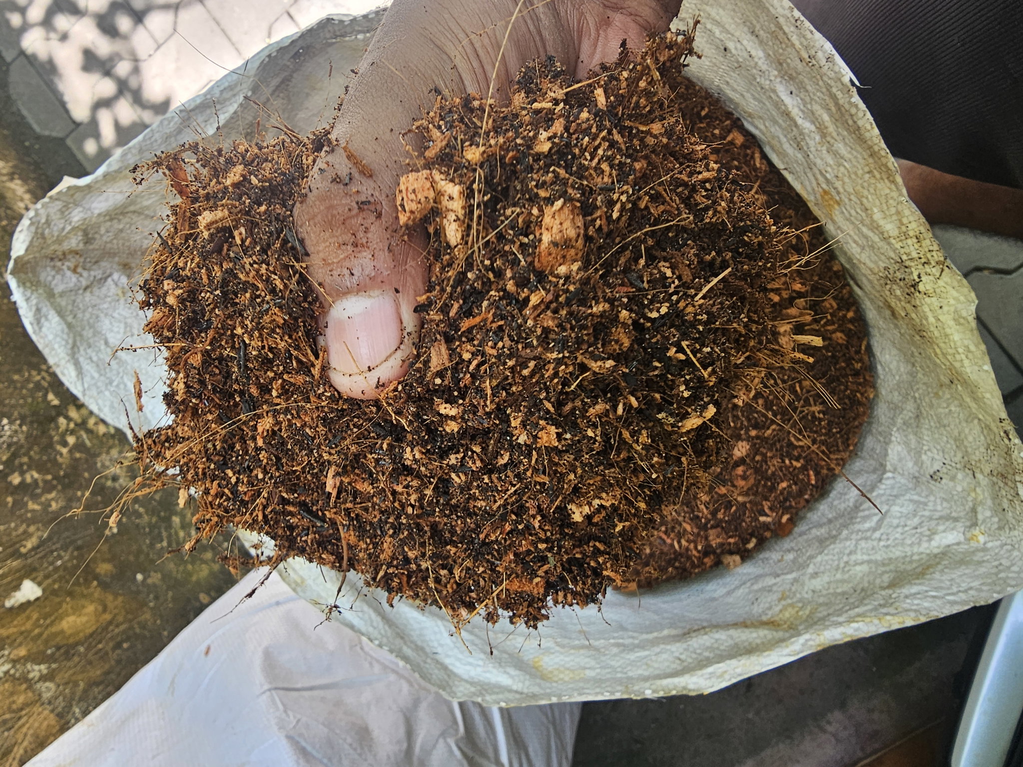 Grow Bag Mixture | 25 KG / 50 KG rice bag equivalent (වගා මාධ්‍ය)_1